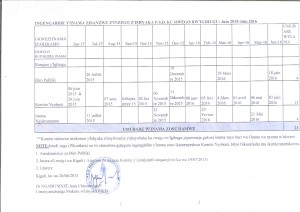 Read more about the article INGENGABIHE Y’INAMA Z’ISHYAKA PSD KU RWEGO RW’IGIHUGU